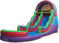 Neon Giant with Pool Neon Giant with Pool