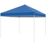 10 x 10 Canopy 10 x 10 Canopy