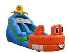 Under the Sea Slide Under the Sea Slide